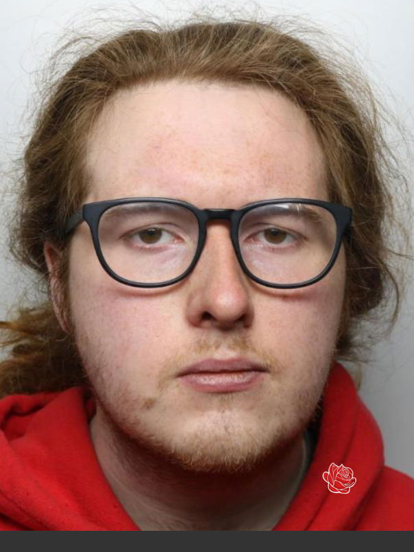 Daniel field – profile image