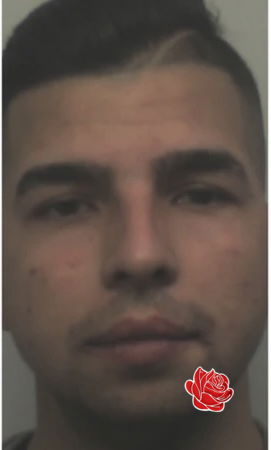 David Korosi – profile image
