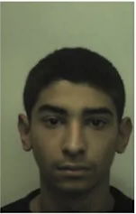 Renato Daniel Nyari – profile image