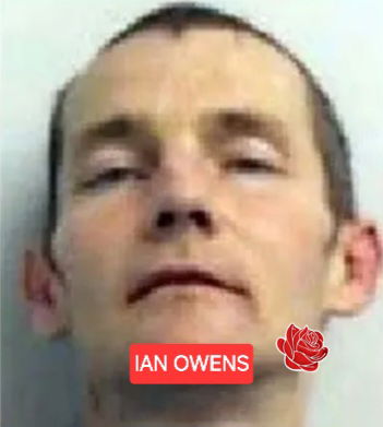 Ian Owens – profile image