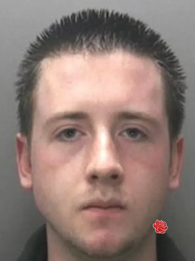 Stephen Devesey – profile image