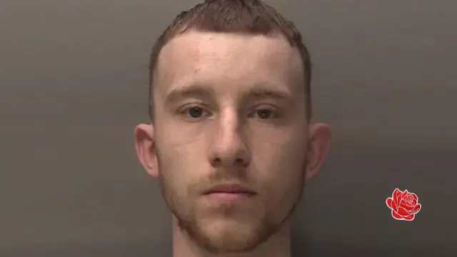 Jordan Cattell – profile image