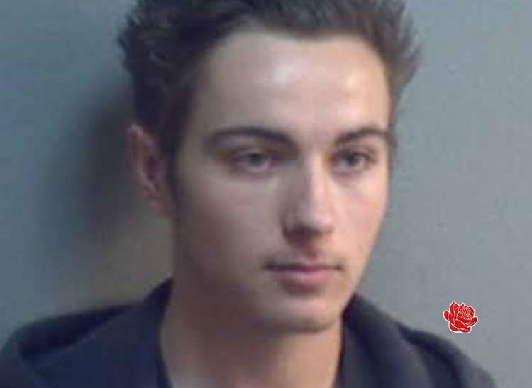 Lewis presley – profile image
