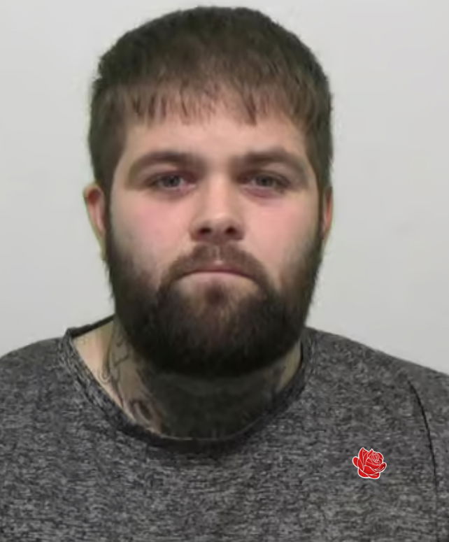 Dominic Dawson  – profile image