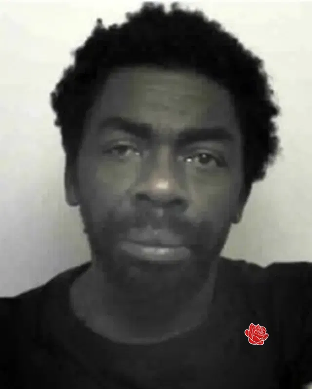 Errol Anglin – profile image