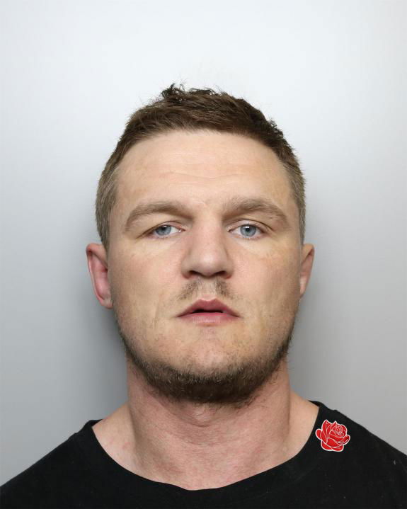 Brad Conway – profile image