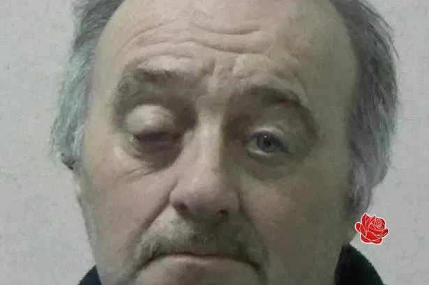 David Bloomfield – profile image