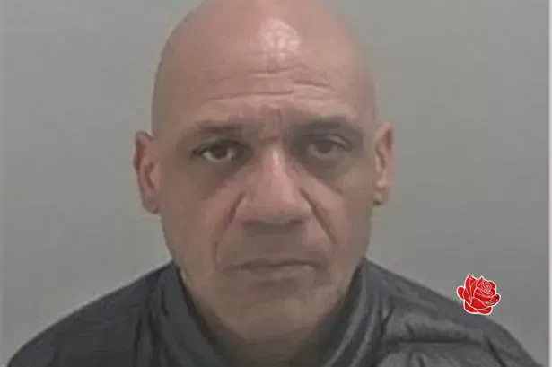 Warren Greaves – profile image