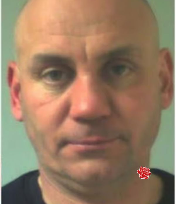 Steve Williams – profile image