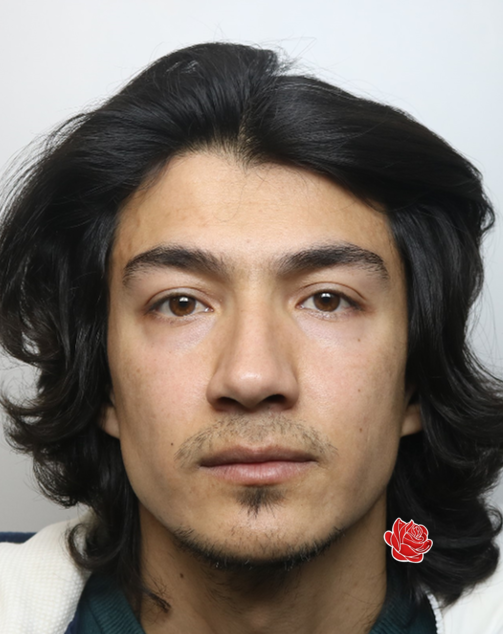 Davood Alekozai – profile image