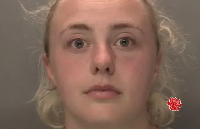 Ellie Wain – profile image