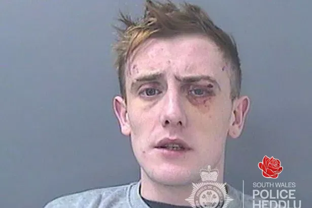 Declan Pitman – profile image