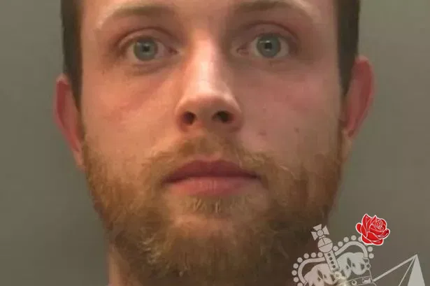 Lewis Watkins – profile image