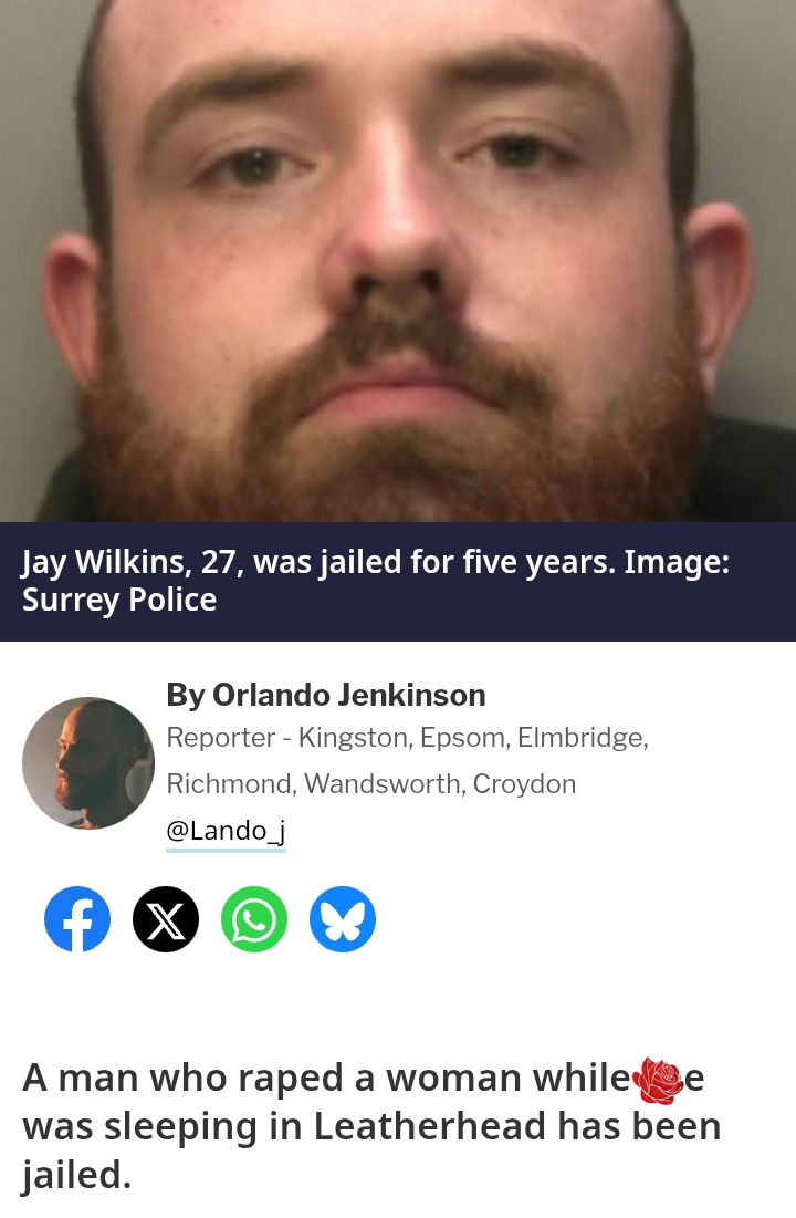 Jay Wilkins – profile image