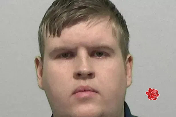 Stephen Adams – profile image