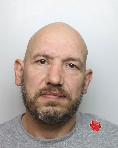 Robert Francis – profile image
