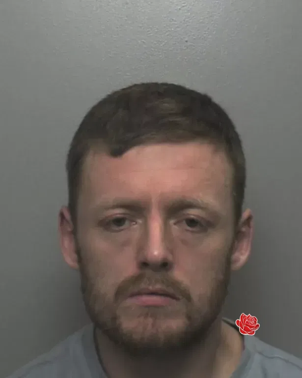 Lee Gaffney – profile image