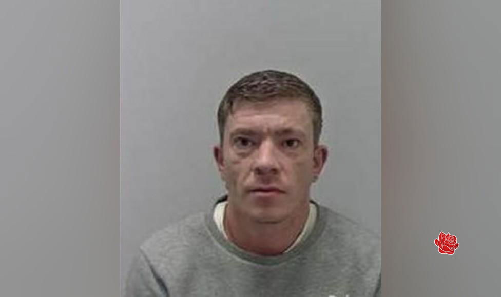 Steven Dodd – profile image