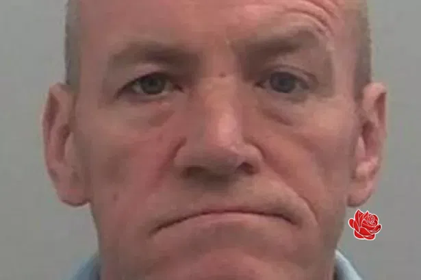 Thomas Mulroy – profile image