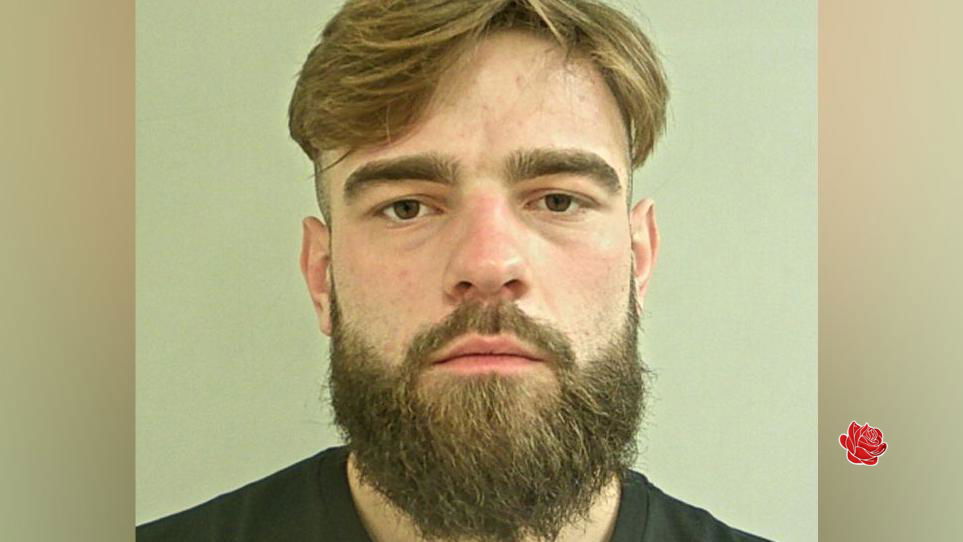 Cameron Livesey – profile image