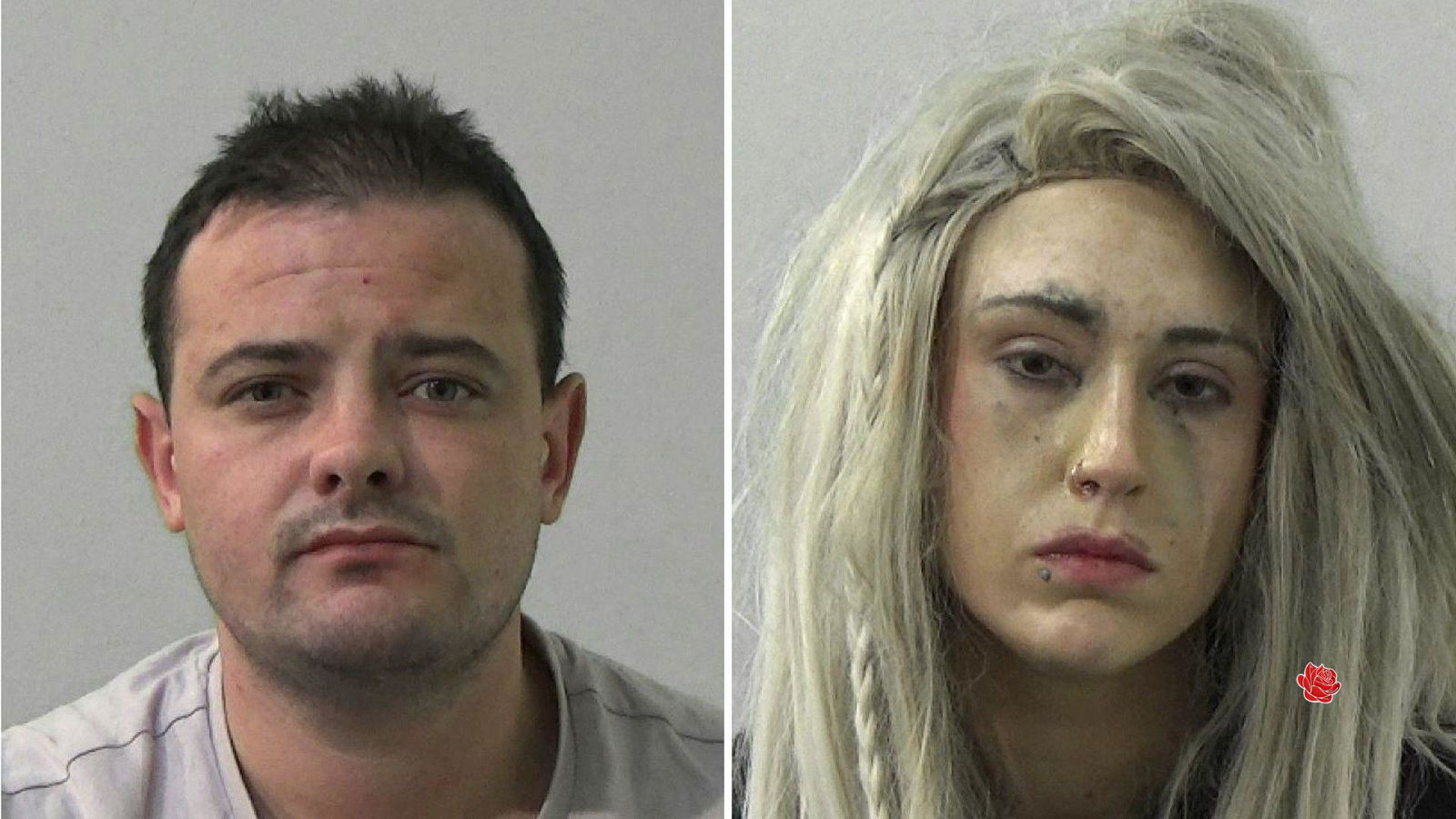 Aaron Davison / Sarah Pringle – profile image