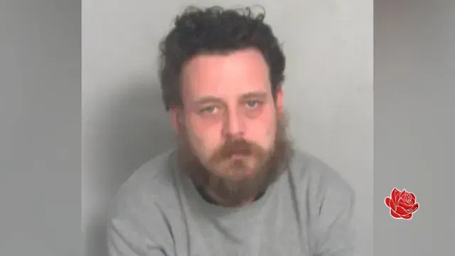 Joshua Robinson – profile image