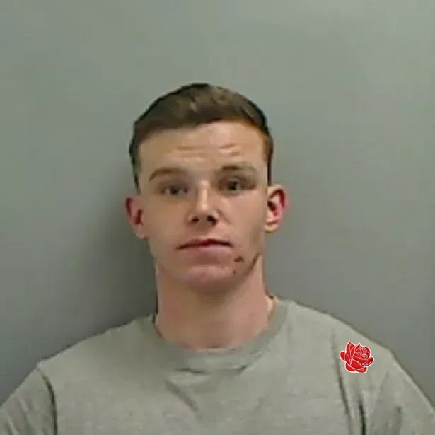 Owen Harris – profile image
