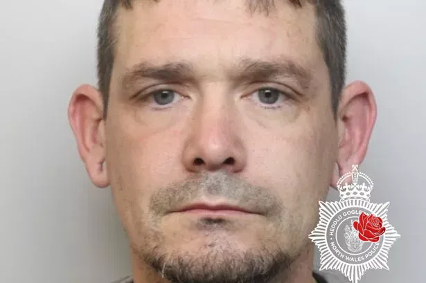 Matthew Hughes – profile image