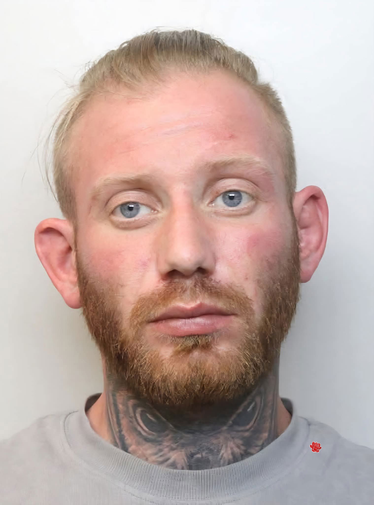 Callum Palfreyman – profile image