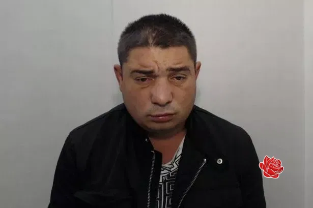 Zoro Banciu – profile image