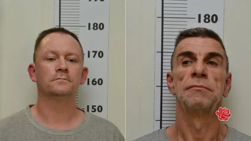 Stephen Unwin/William McFall – profile image