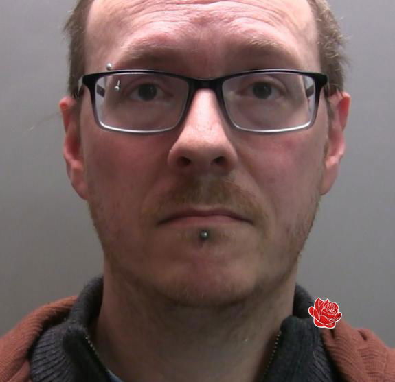 Daniel Wealands – profile image