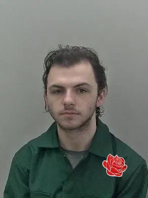 Callum Davies – profile image