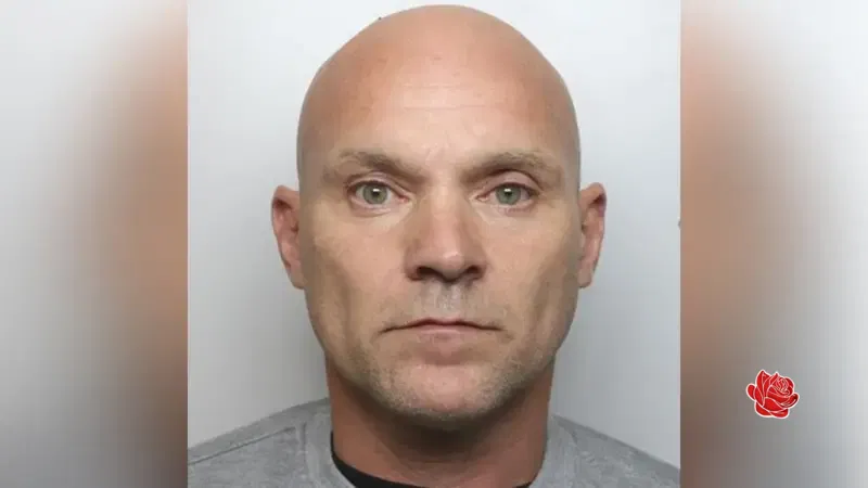 Simon Wiggins – profile image