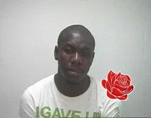 Thinkwell Javangwe – profile image