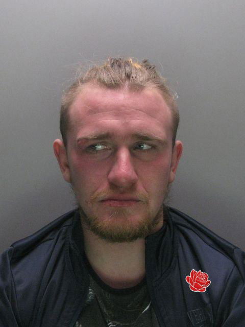 Adam Ian Fox – profile image