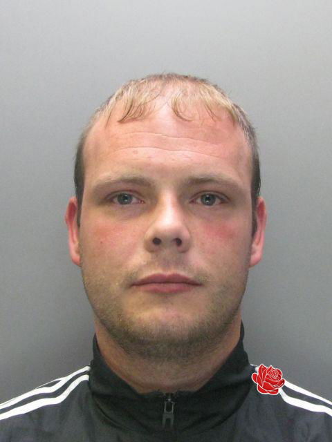 Ian Ward – profile image