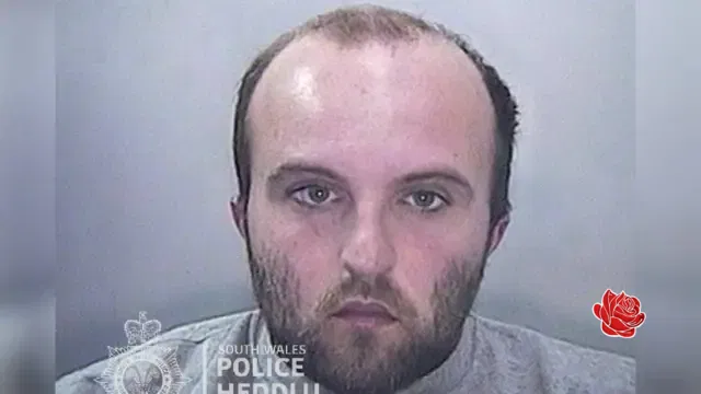 Anthony Williams – profile image