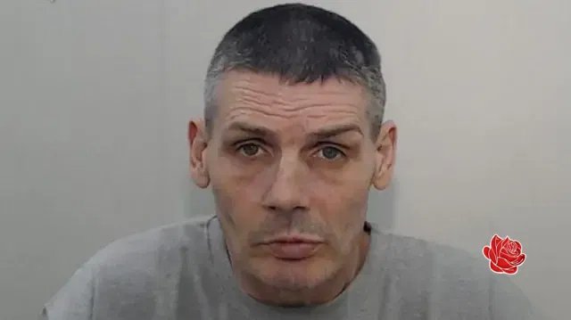 Peter Pitt – profile image