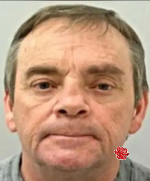 Peter Barnes – profile image