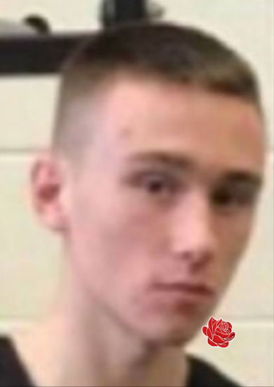 Liam Roy  – profile image