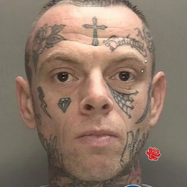 Paul Woodward – profile image