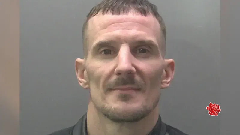 Brendan Gourlay – profile image