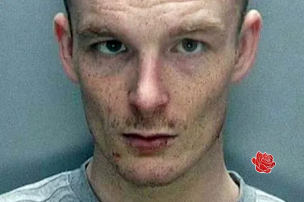 Dylan Brierley – profile image