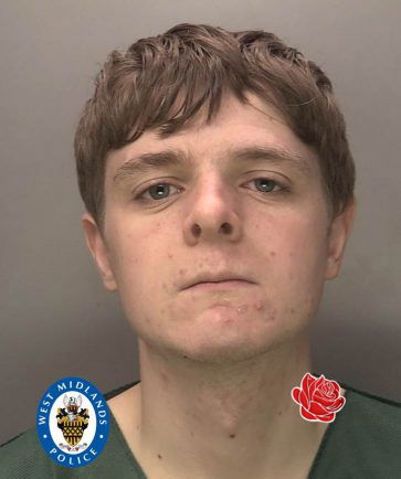 Kyle Rowley – profile image