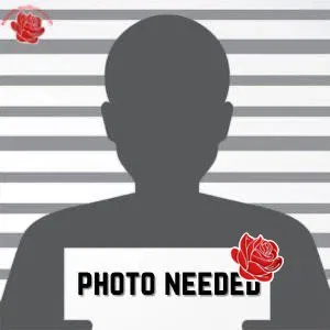 Thomas Findlay – profile image
