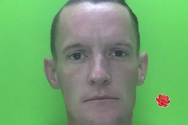 Ian Potts – profile image