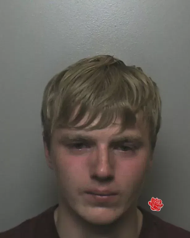 Callum Lear – profile image