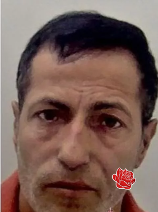 Bebi Ibram – profile image