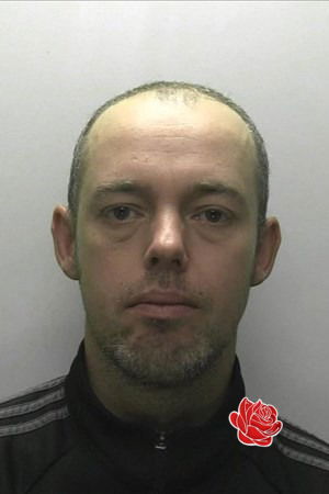 Steven John William Jarrold – profile image